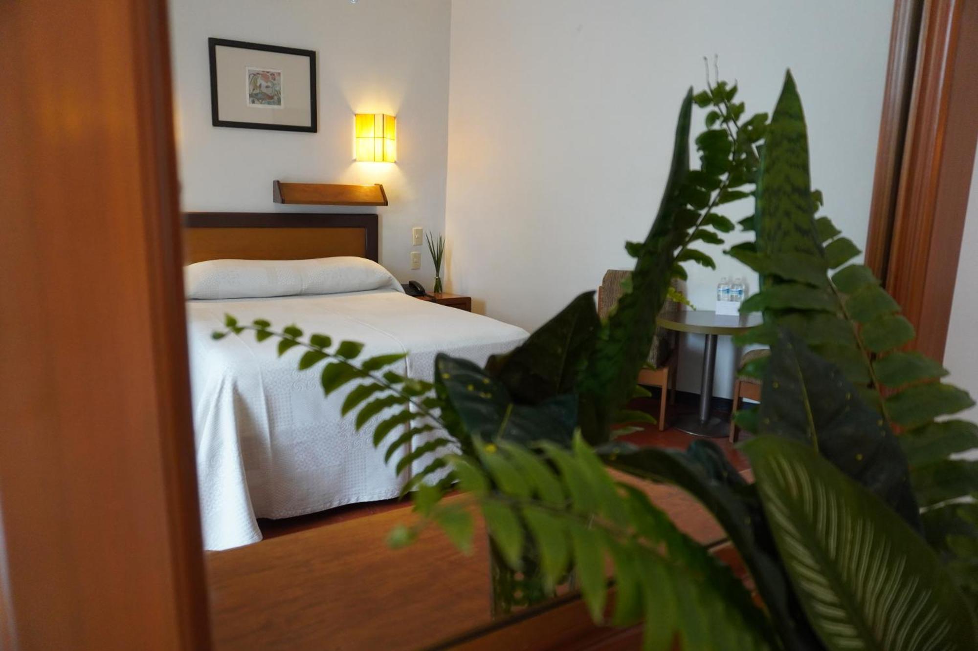 Hotel Ilebal Centro - Lugar Con Encanto!