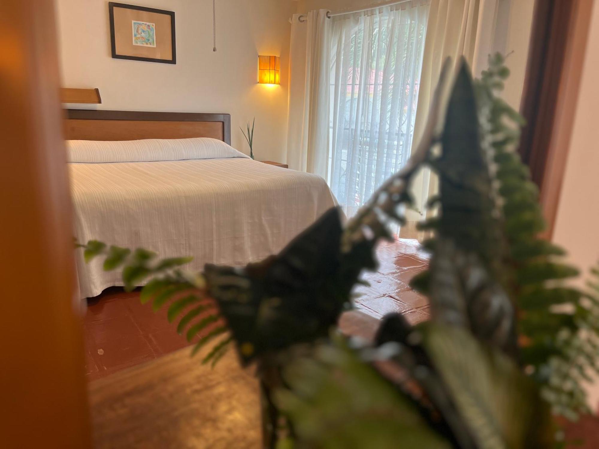 Ilebal Centro - Lugar Con Encanto! Hotel Cuernavaca