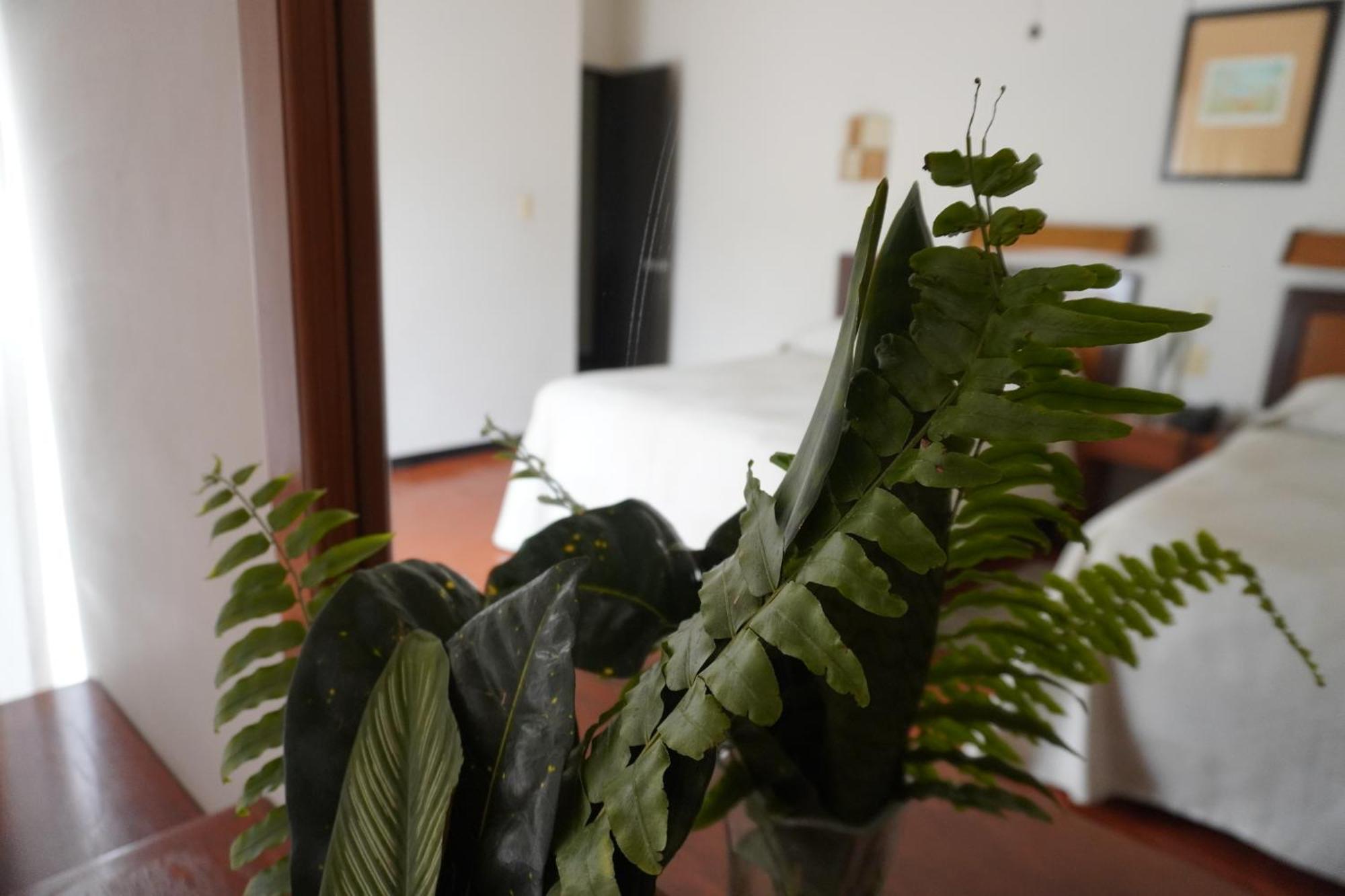 Ilebal Centro - Lugar Con Encanto!