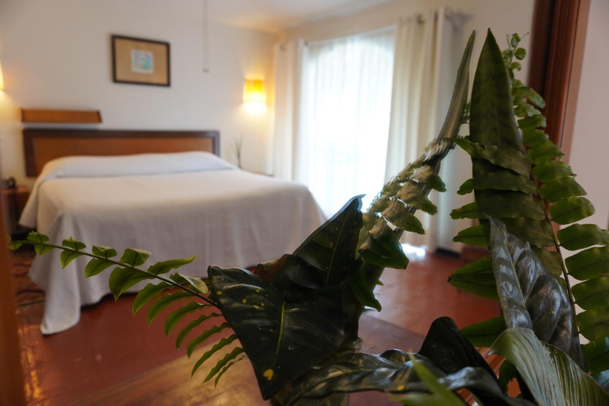Hotel Ilebal Centro - Lugar Con Encanto! Cuernavaca